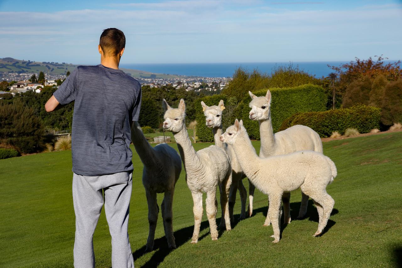Alpaca Farmstay Dunedin Buitenkant foto